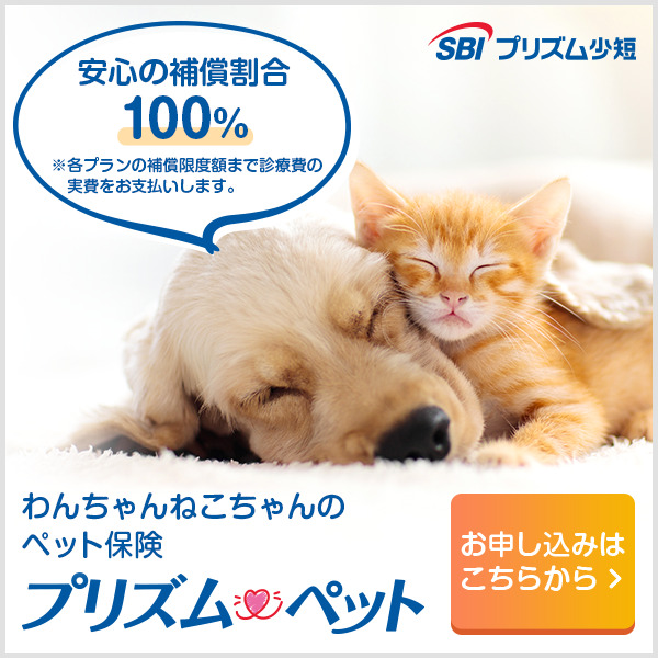SBIプリズムペット-保険-犬猫バナー四角