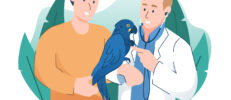 鳥にペット保険は必要？インコ･オウム･文鳥などの病気のリスクと加入条件
