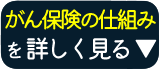 がん保険-詳しく見る-BTN