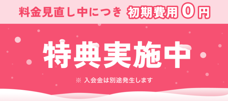 ゼクシィ縁結びエージェントの料金見直しキャンペーン