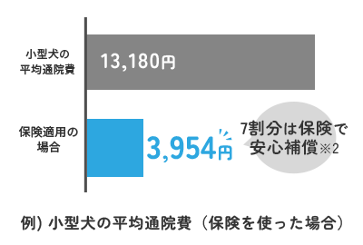 保証円グラフ