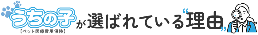 選ばれている理由
