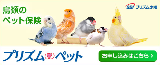 プリズムペット-鳥類