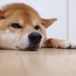 無職を脱出したいけど働きたくない…？働きたくない理由と解決策を徹底解説