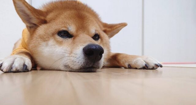 無職を脱出したいけど働きたくない...？働きたくない理由と解決策を徹底解説