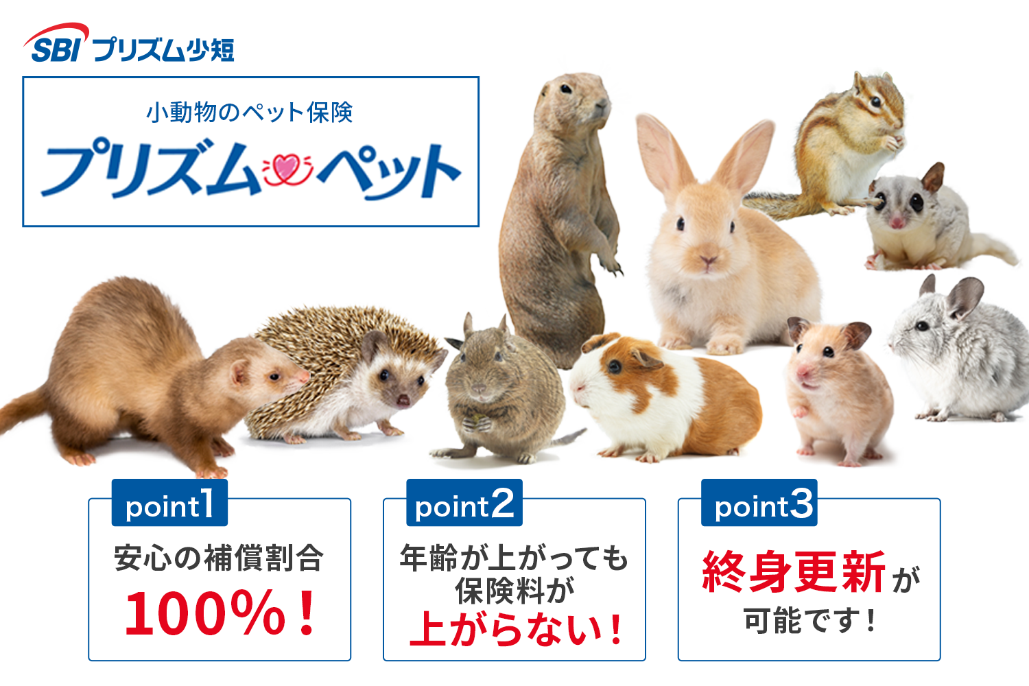 SBIプリズム少短 - グッドカミング