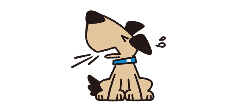 犬の咳は病気のサイン?犬が咳をする原因になる病気と受診する目安を解説