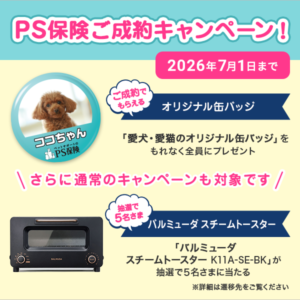 PS保険-6月分