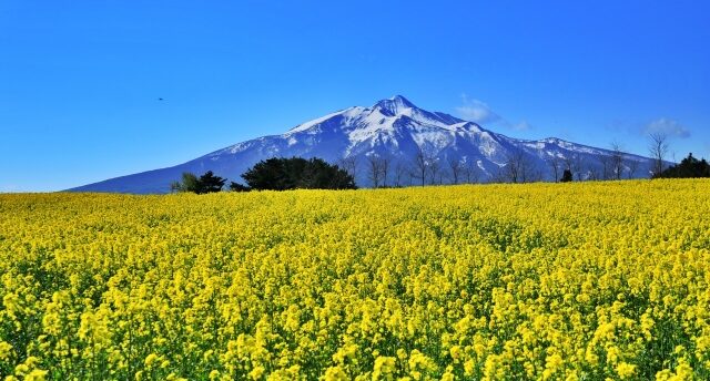 12星座別 2026年3月の運勢【占いの館 千里眼】桂(かつら)先生月間連載