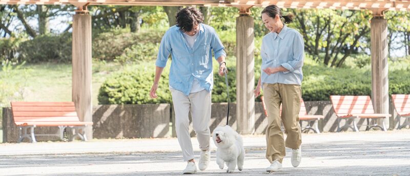 犬好き50代の婚活はどこで出会う？向き・不向きと成功のポイント