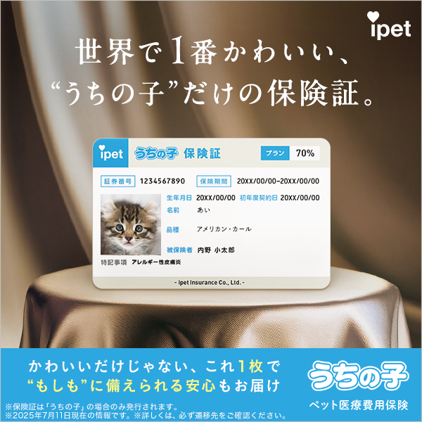 アイペット協賛用_キャンペーン_20260202