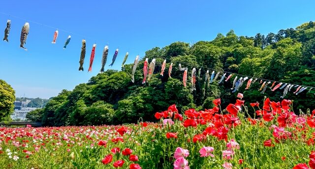 12星座別 2026年5月の運勢【占いの館 千里眼】桂(かつら)先生月間連載