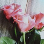 結婚相談所に向いてない人の特徴とは？不安を解消して成婚するコツ