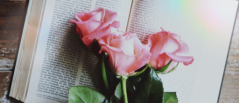 結婚相談所に向いてない人の特徴とは？不安を解消して成婚するコツ