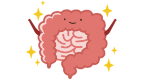 記事内画像_イラスト_大腸_内臓